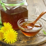 Med od 400 maslačaka: recepti sa fotografijama, koristi i štete